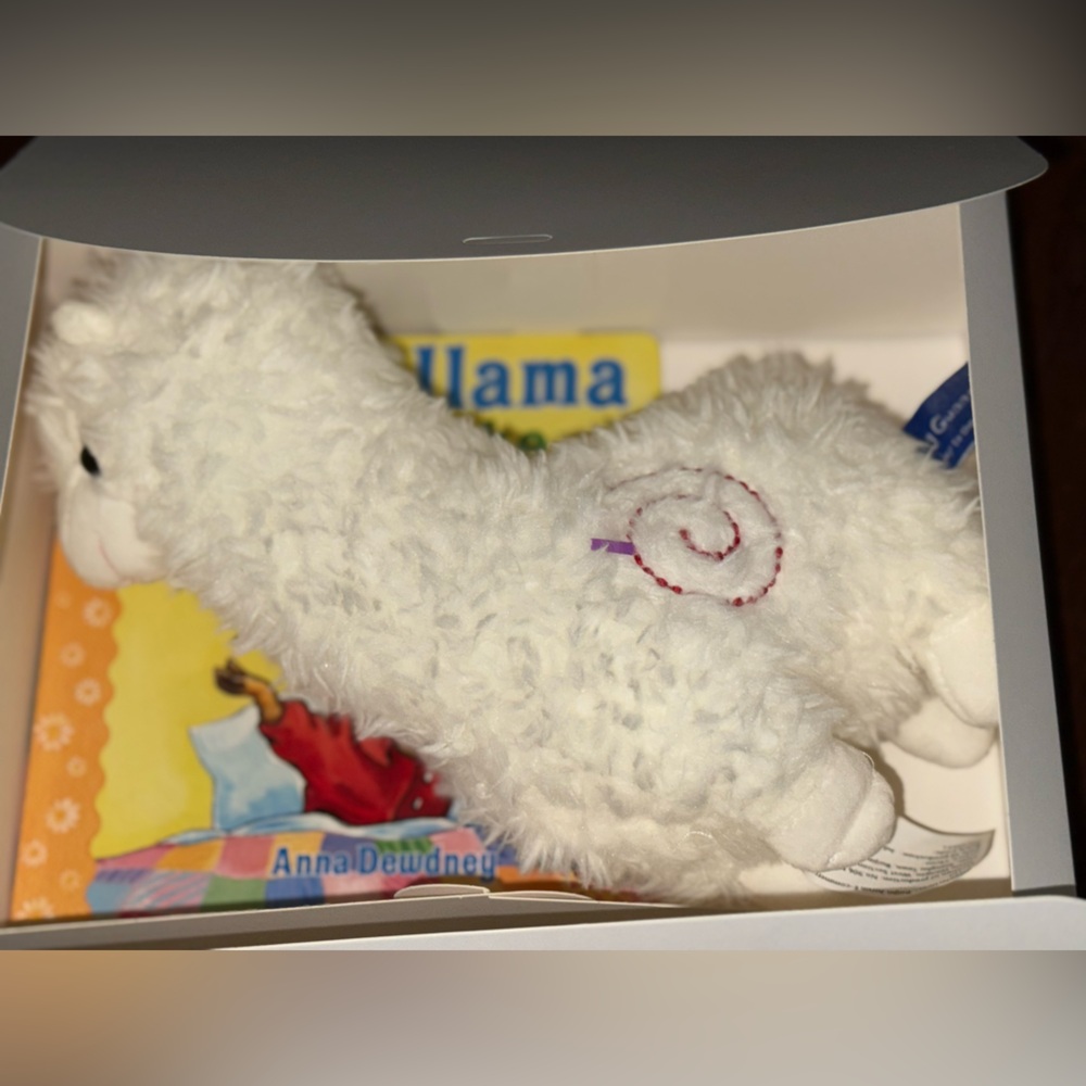 Llama Llama Children’s Book & Plush Gift Set - Picture 4 of 4